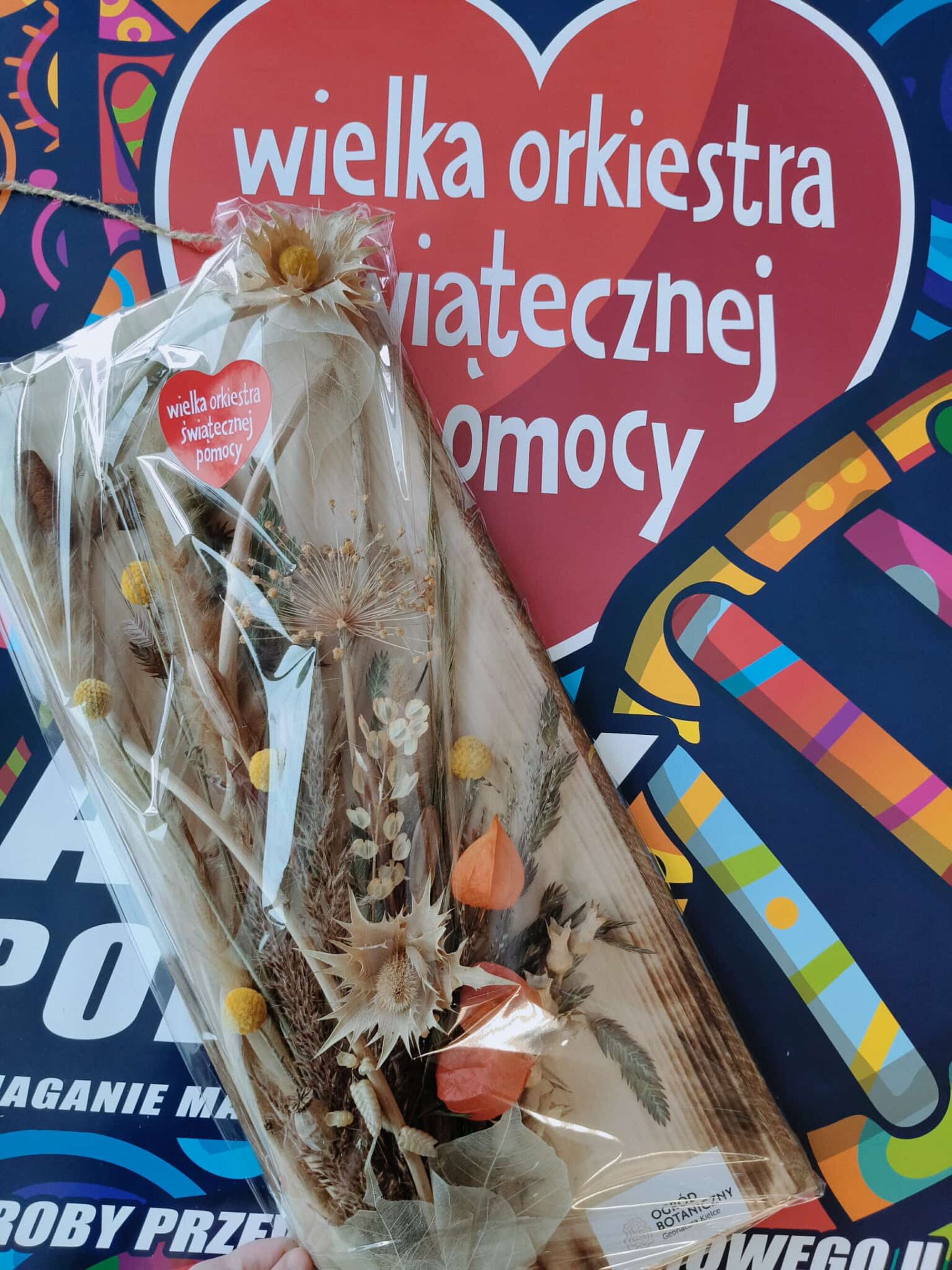 Obraz kompozycja z suszonych roślin od Ogrodu Botanicznego w Kielcach